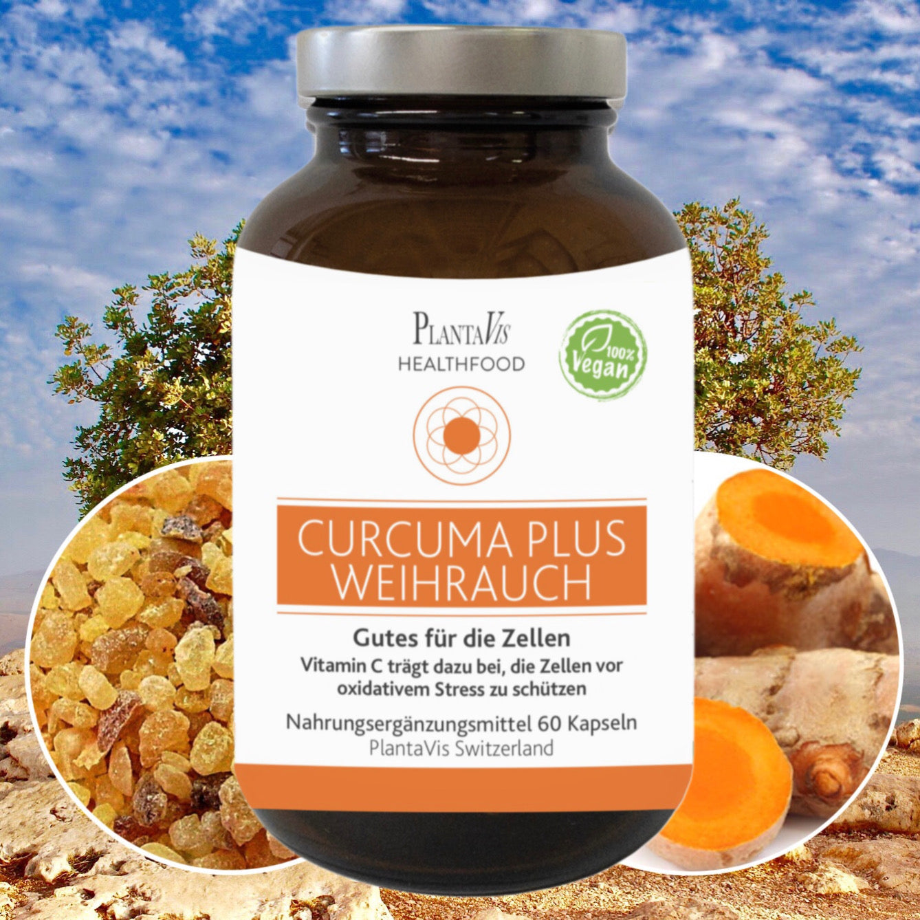 Curcuma Weihrauch Kapseln