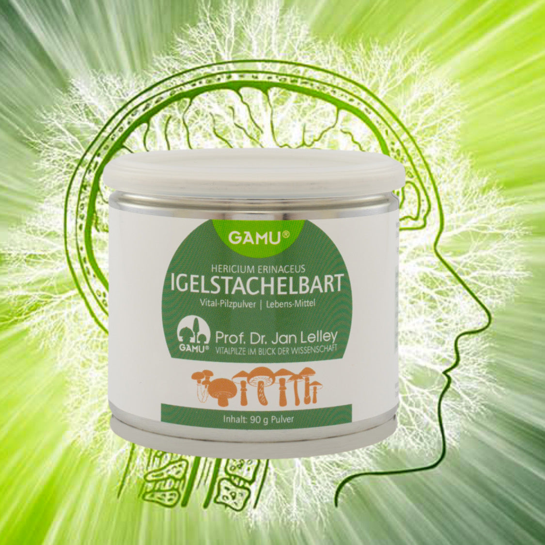 Igelstachelbart Hericium Bio Pulver 90g