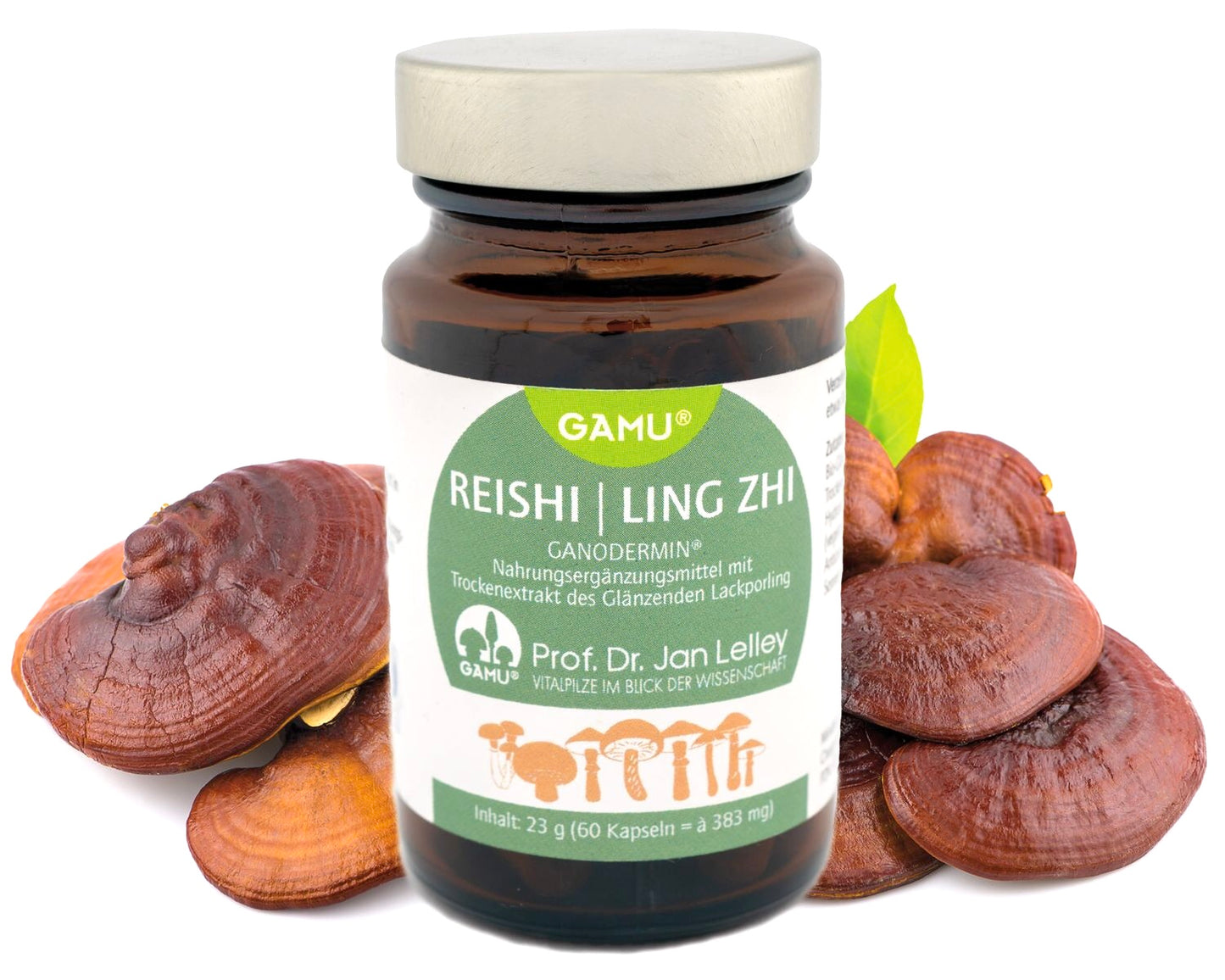 Reishi Ganodermin Bio Kapseln