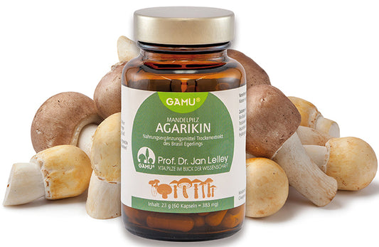 Mandelpilz Agarikin Brasil Bio Kapseln