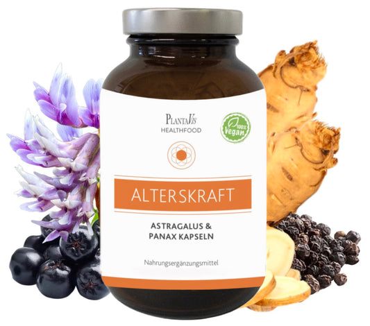 AltersKraft Kapseln Astragalus Plus