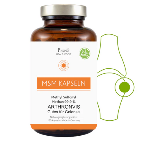 ArthronVis MSM Kapseln