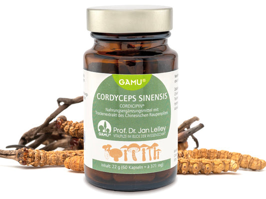Cordyceps Pilzextraxt Kapseln