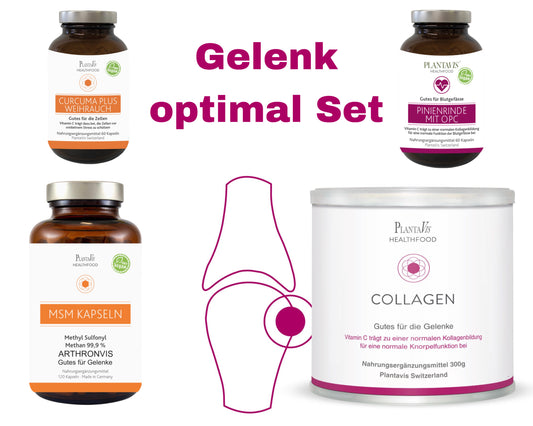 Gelenk Optimal-Set