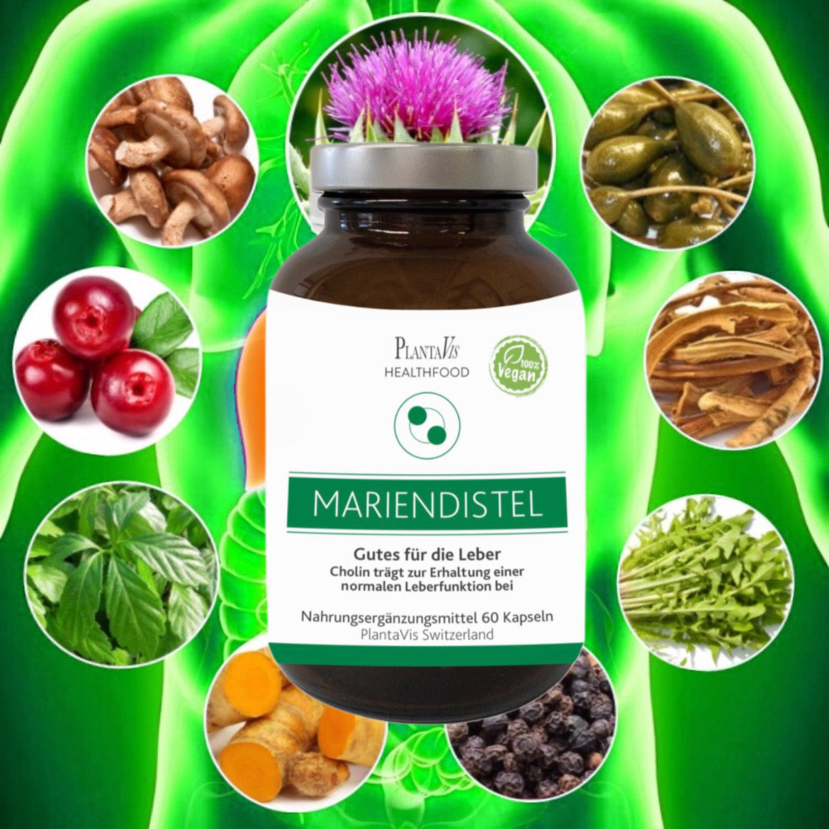 Mariendistel Kapseln