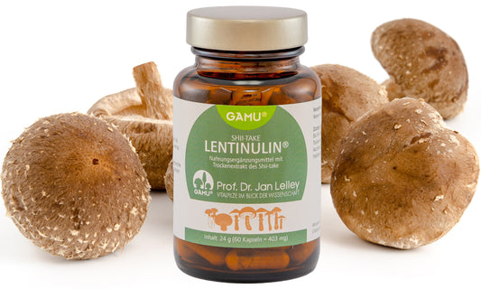 Shiitake Bio Pilzextrakt Kapseln