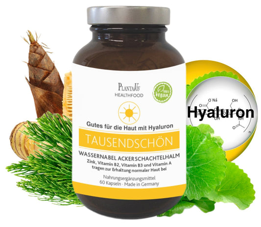 TausendSchön Hyaluron Kapseln