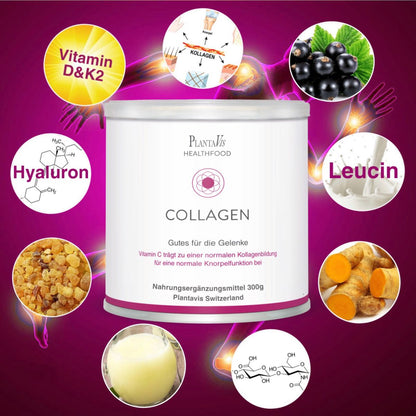Collagen Drink Pulver Gelenke