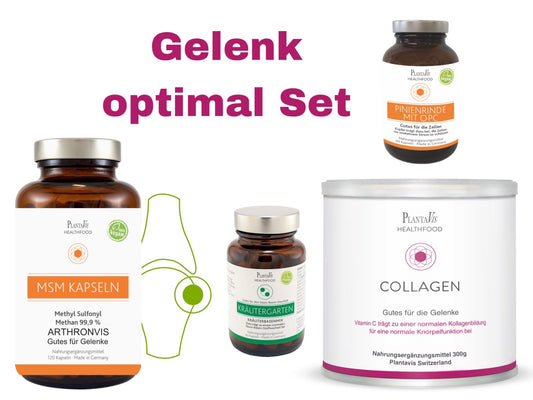 Gelenk Optimal-Set