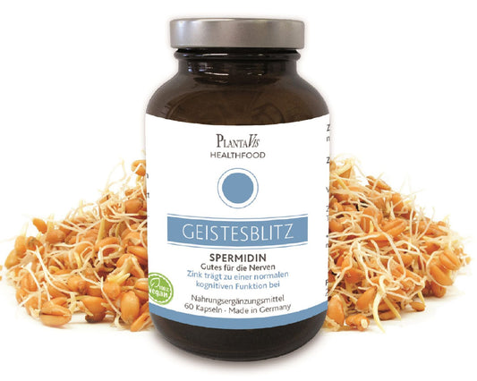 GeistesBlitz - Spermidin Kapseln
