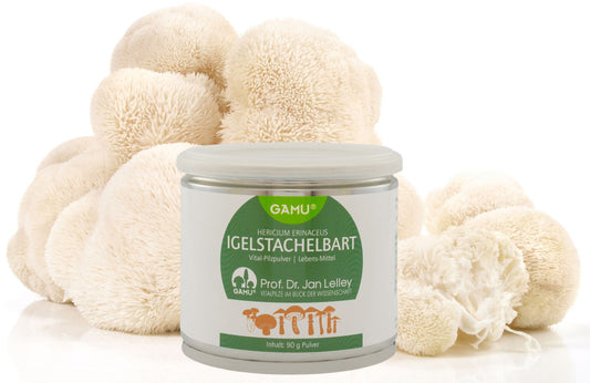 Igelstachelbart Hericium Bio Pulver 90g