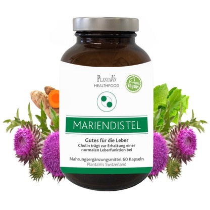 Mariendistel Kapseln