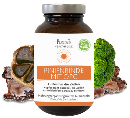 Pinienrinde mit OPC Kapseln