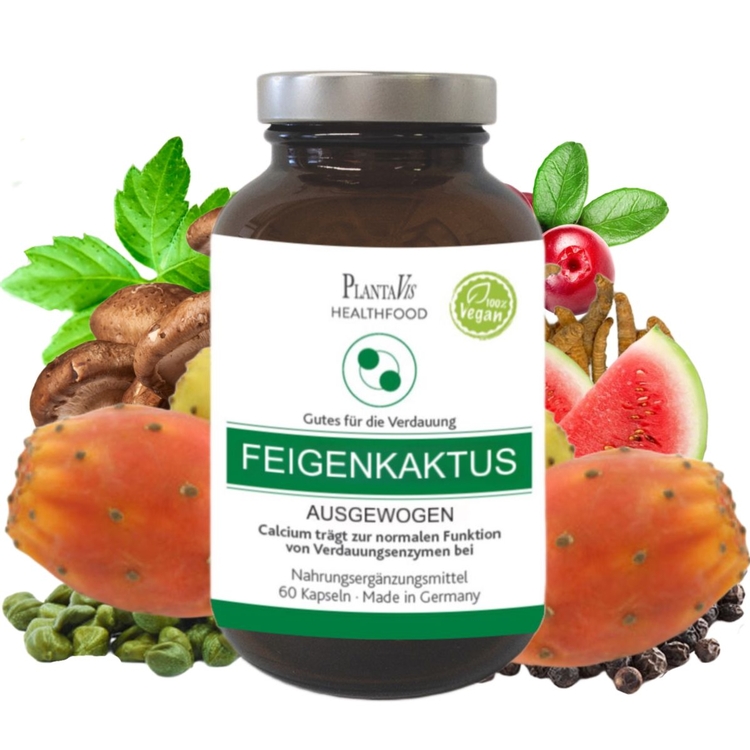 Feigenkaktus Kapseln