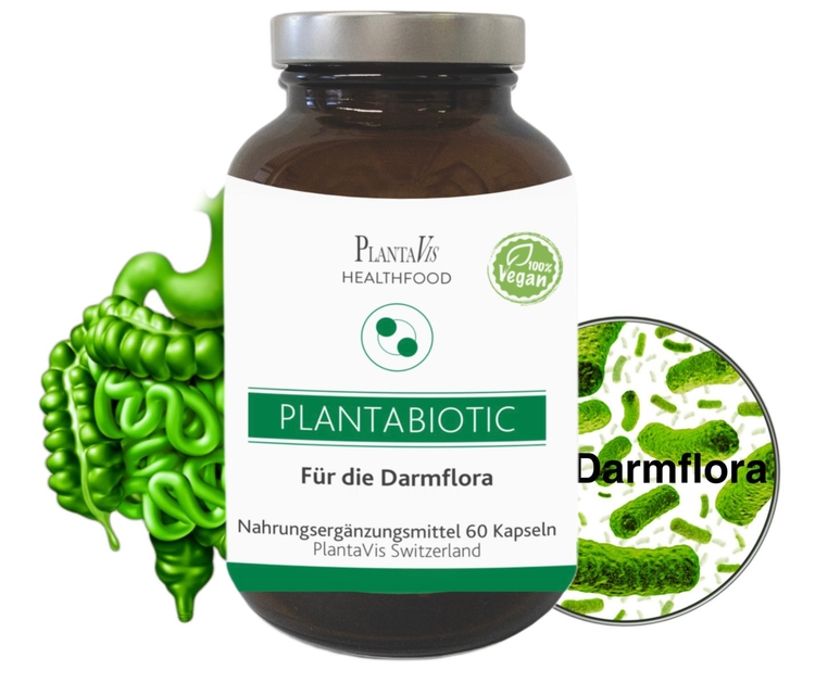 PlantaBiotic Darmflora
