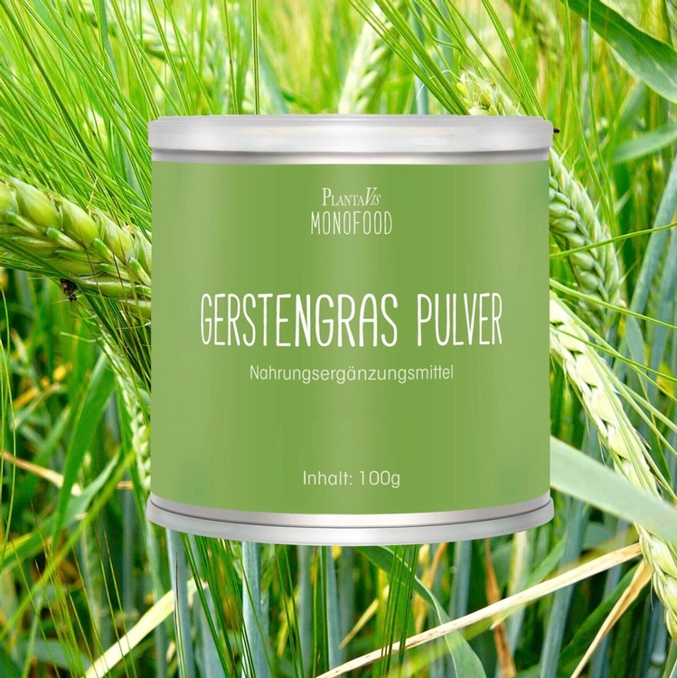 Gerstengras Pulver