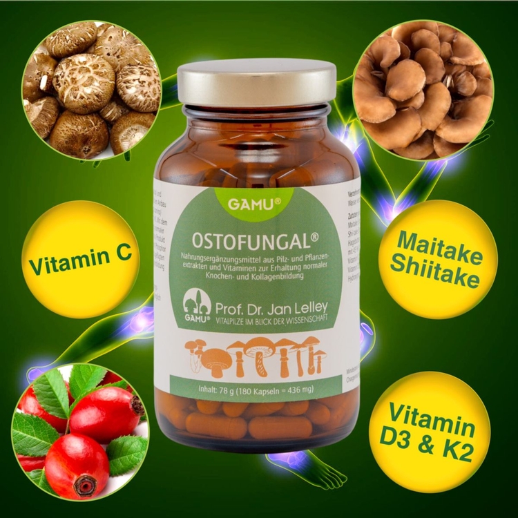 OstoFungal® mit Bio Vitalpilz-Komplex